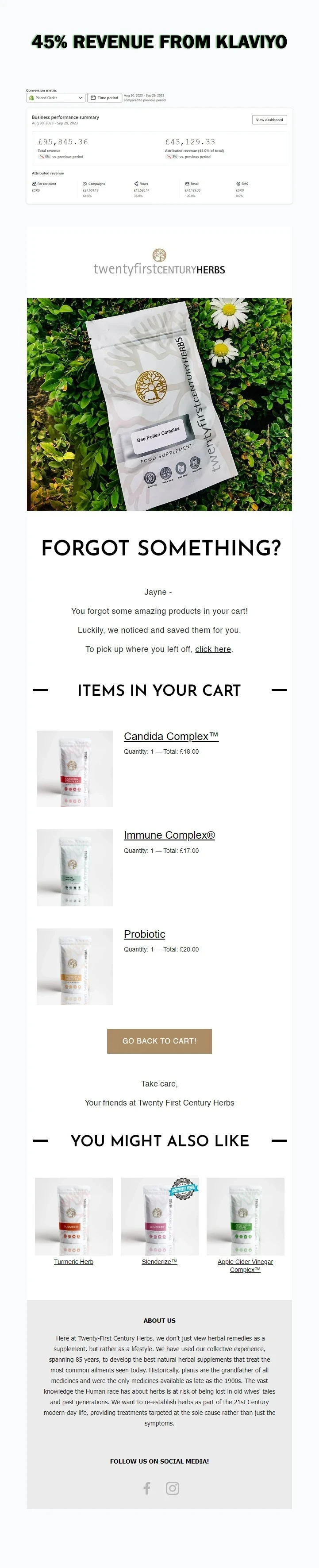 Twenty First Century Herbs: Abandoned Cart Email That Recovers Lost Revenue, image 1